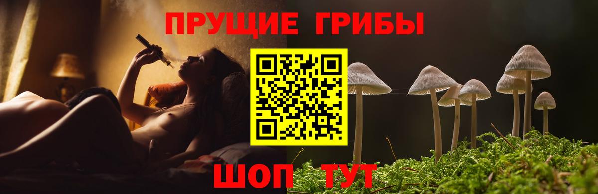 Псилоцибиновые грибы Psilocybe  Вход с VPN  Усинск  Галлюциногенные грибы Cubensis 